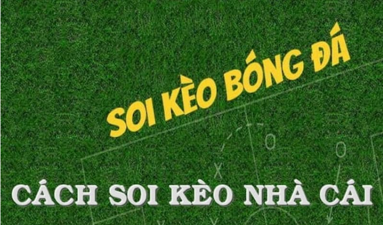 Hướng dẫn xem tỷ lệ kèo nhà cái tại tenisweb chính xác