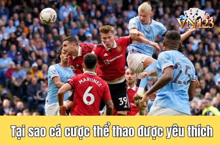 Những lý do khiến cá cược thể thao được yêu thích nhất hiện nay