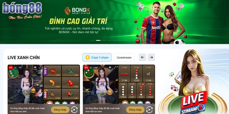 Về chúng tôi BONG88 là thương hiệu giải trí uy tín trên thị trường